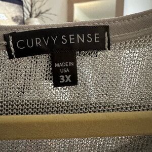 Curvy Sense Silver Mesh Dress